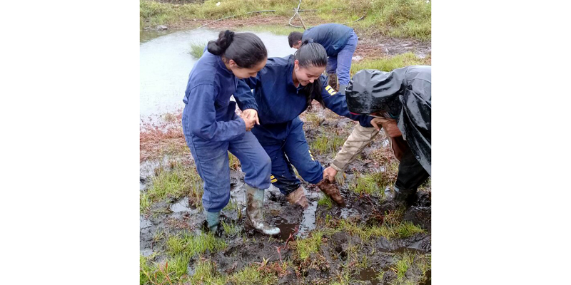 Experiencias agroecológicas de IED de Fosca, elegidas para participar en simposio de investigación e innovación


































