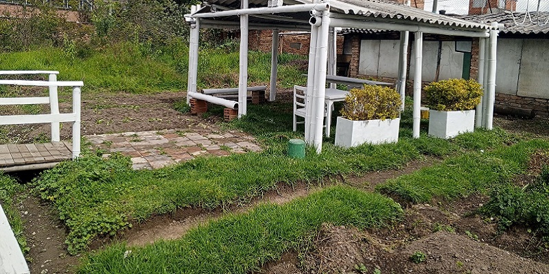 Huertos terapéuticos, una actividad saludable para los usuarios del Centro Bienestar del Anciano San Pedro Claver