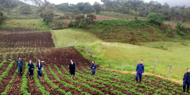 Experiencias agroecológicas de IED de Fosca, elegidas para participar en simposio de investigación e innovación


































