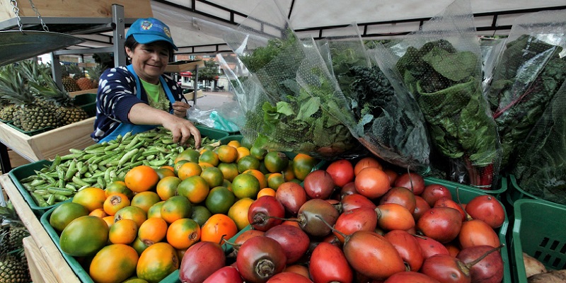 Reducción del 30% en la entrada de alimentos a Corabastos, advierte el gobernador de Cundinamarca, Jorge Rey

