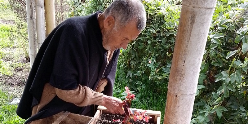 Huertos terapéuticos, una actividad saludable para los usuarios del Centro Bienestar del Anciano San Pedro Claver