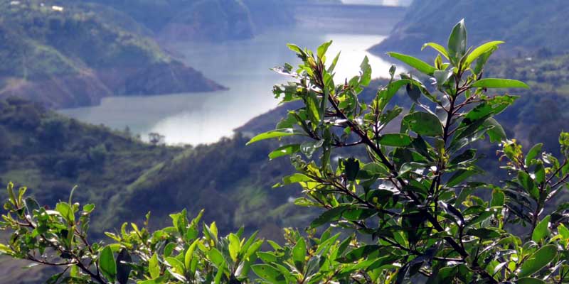 Las Ferias ambientales se toman Cundinamarca





